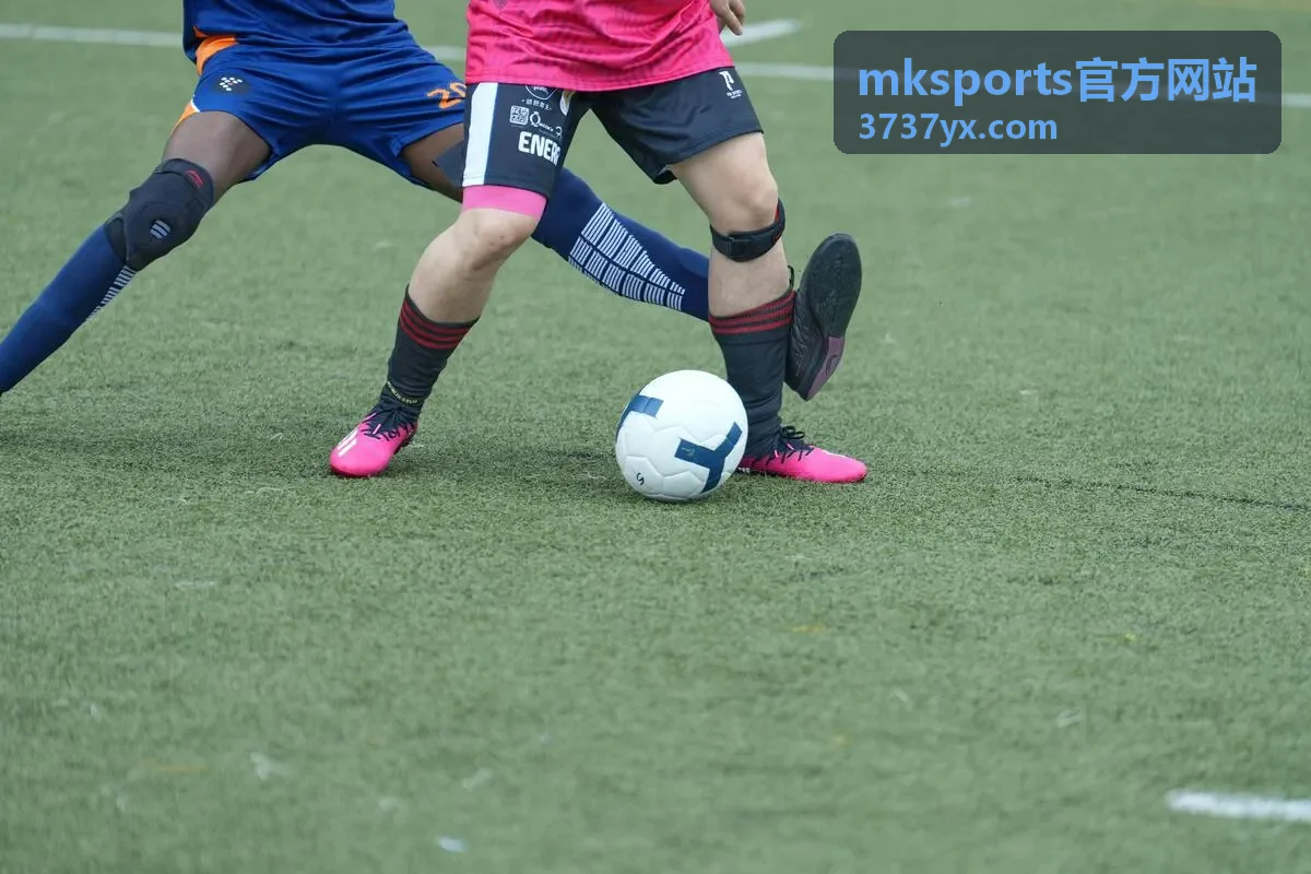 mksports官方网站版本动态更新