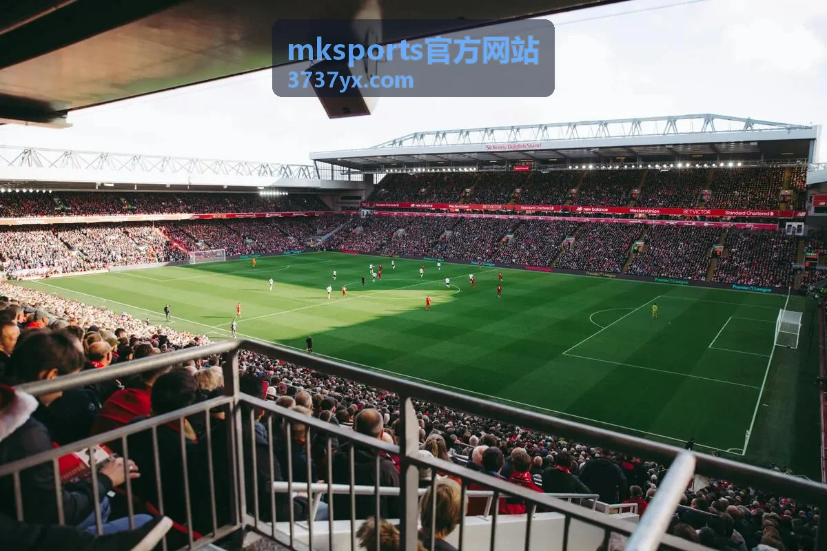 mksports官方网站设备安装要求与官方客户端适配说明
